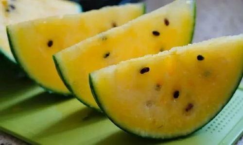 甘肃最新的瓜爆料,瓜果飘香，丰收喜讯传四方  第1张