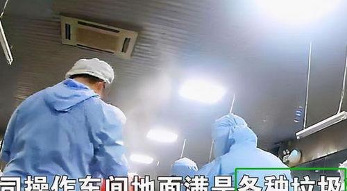 天津小学生配餐爆料视频,揭露校园食品安全疑云  第3张