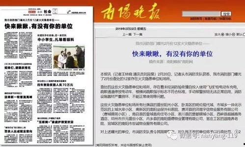 南阳 新闻 爆料,揭秘背后真相，探寻事件真相  第3张