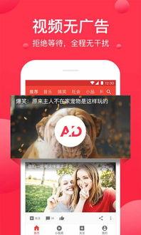 吃瓜视频爆料小说在线阅读,热门小说背后的故事  第2张