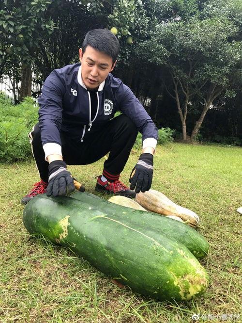 吃瓜爆料结婚视频大全下载,海量精彩瞬间等你下载  第2张