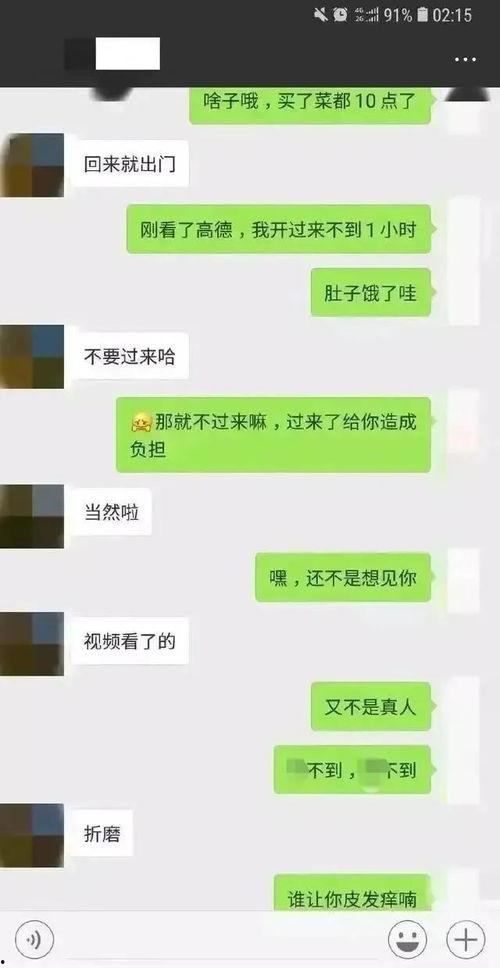 吃瓜群众免费吃瓜微信聊天记录,一场全民参与的趣味盛宴